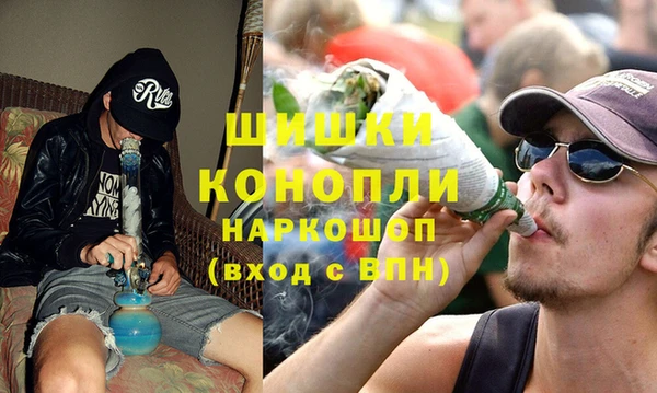 ПСИЛОЦИБИНОВЫЕ ГРИБЫ Балабаново